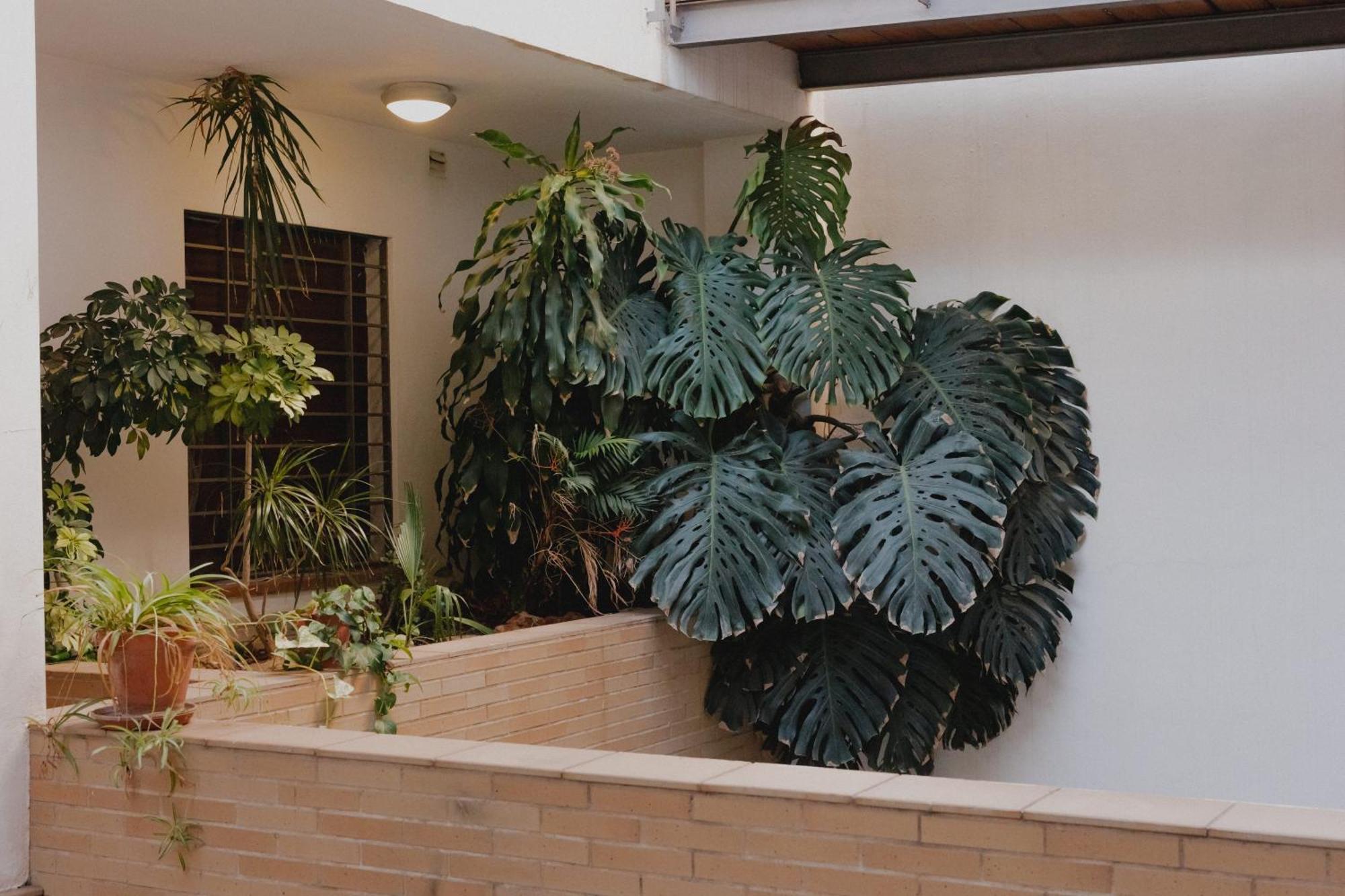 Suite Zamorano Malaga Ngoại thất bức ảnh